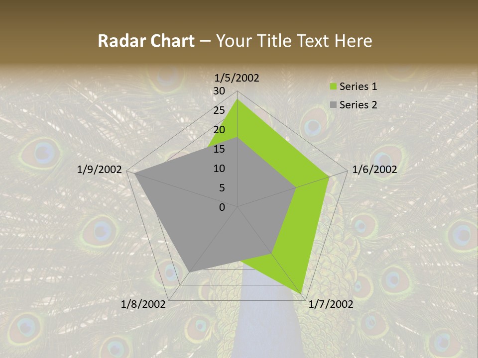 Indian Spotted Colourful PowerPoint Template