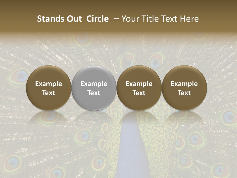 Indian Spotted Colourful PowerPoint Template