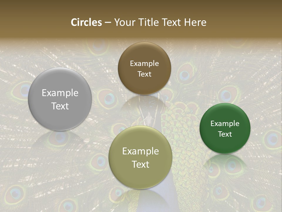 Indian Spotted Colourful PowerPoint Template