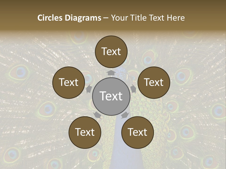 Indian Spotted Colourful PowerPoint Template