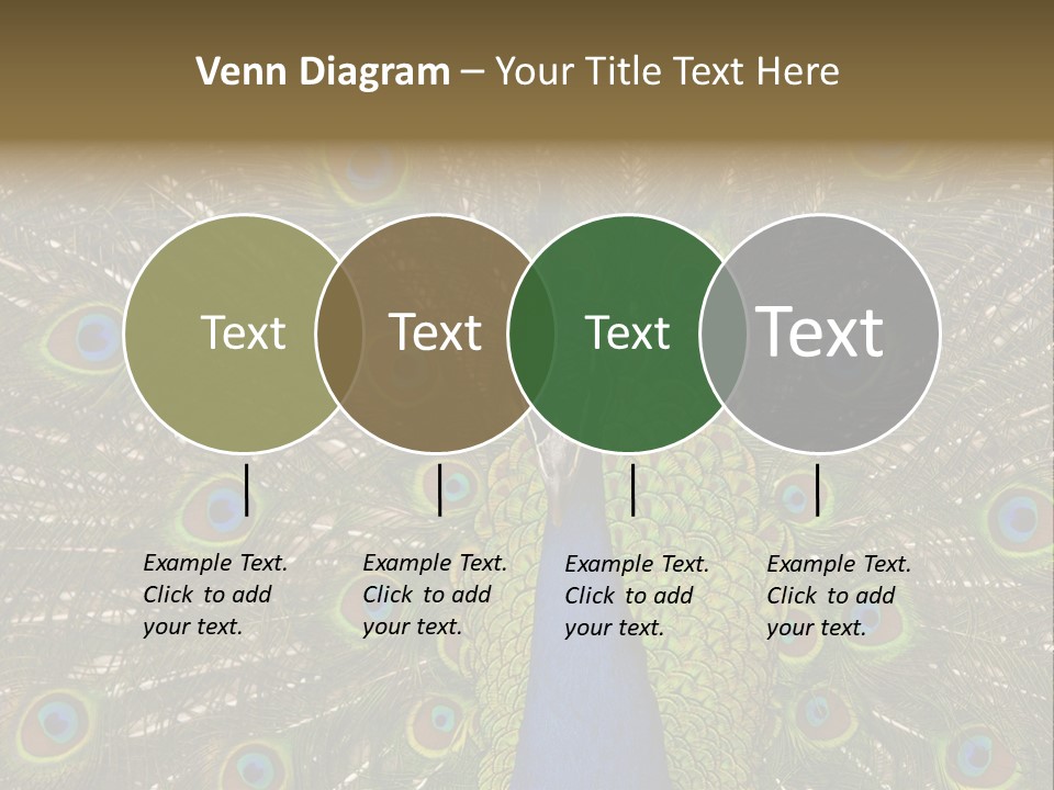 Indian Spotted Colourful PowerPoint Template