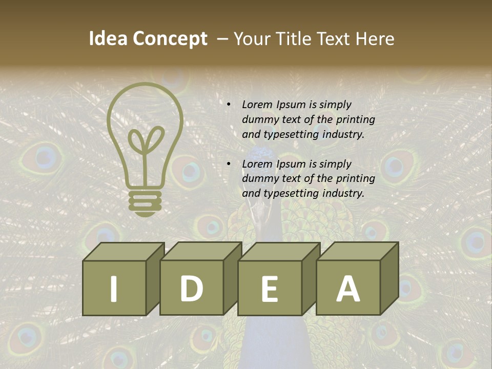 Indian Spotted Colourful PowerPoint Template