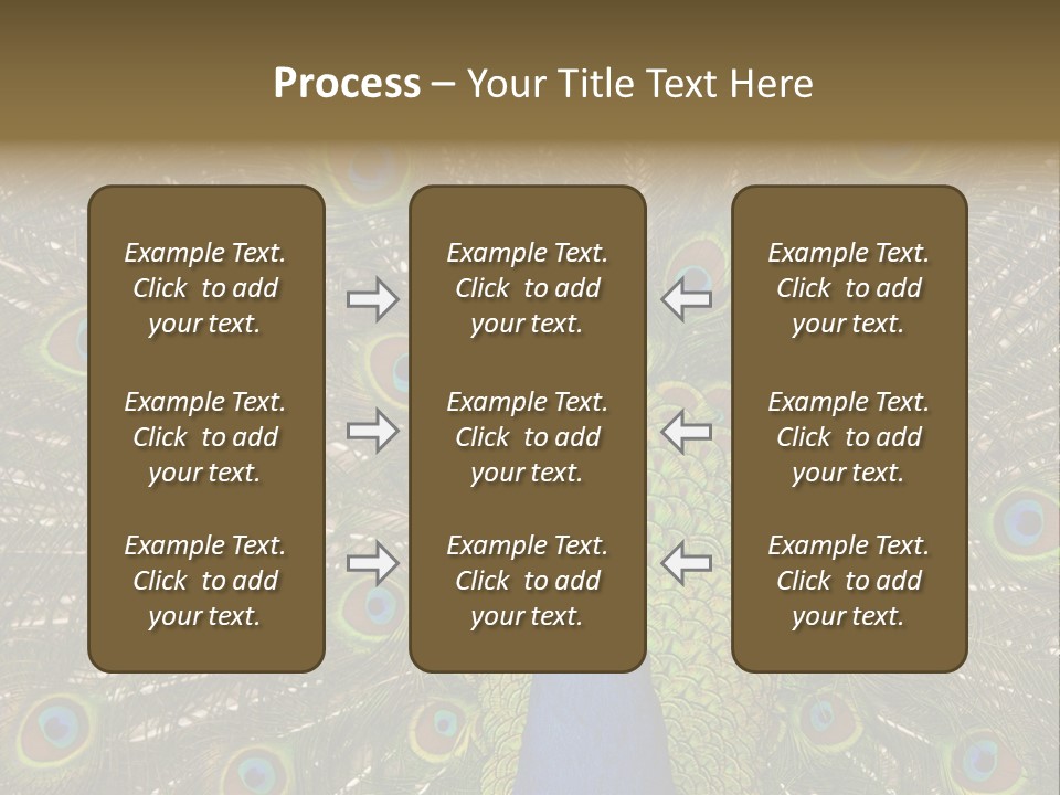 Indian Spotted Colourful PowerPoint Template