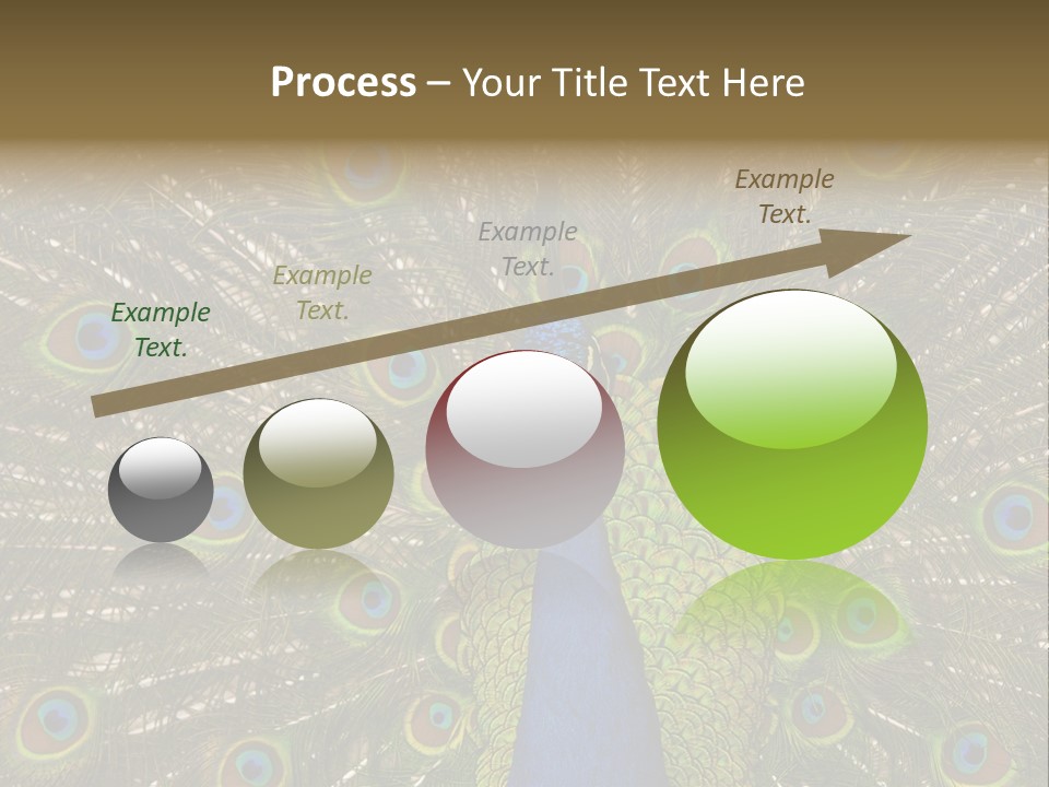 Indian Spotted Colourful PowerPoint Template