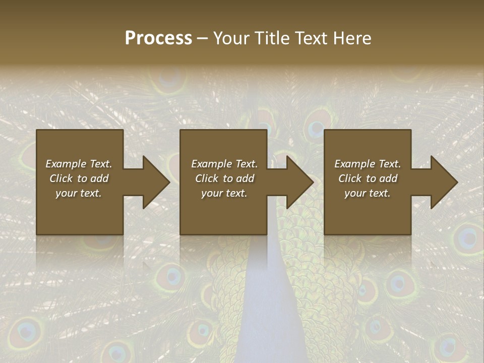 Indian Spotted Colourful PowerPoint Template