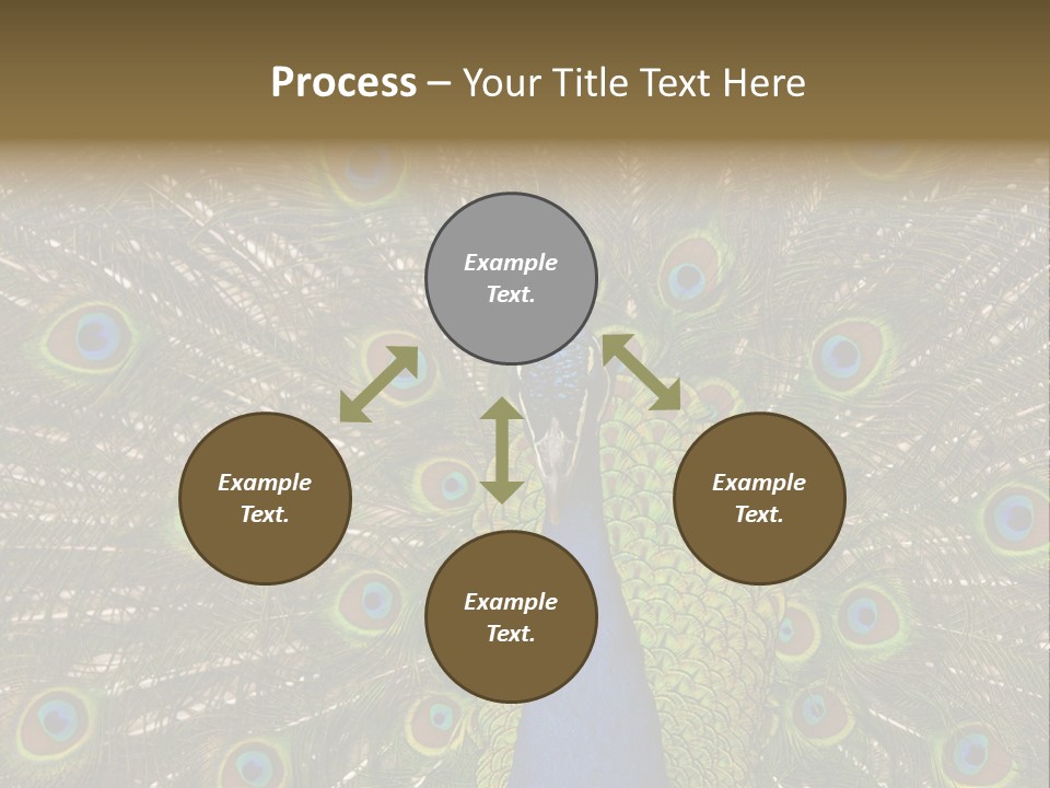 Indian Spotted Colourful PowerPoint Template