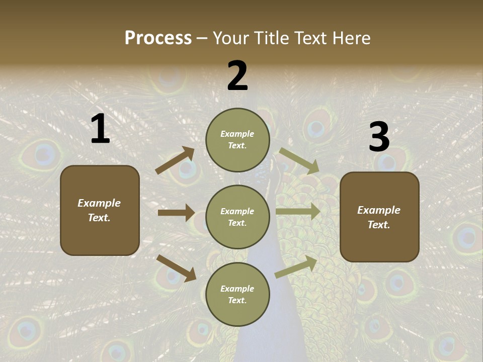 Indian Spotted Colourful PowerPoint Template