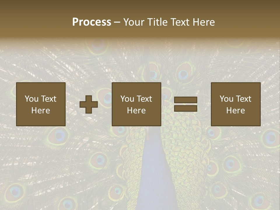 Indian Spotted Colourful PowerPoint Template