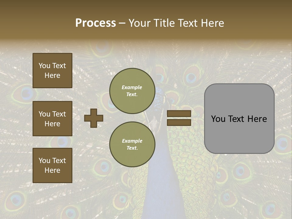 Indian Spotted Colourful PowerPoint Template