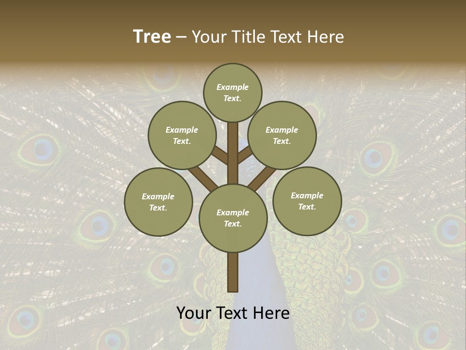 Indian Spotted Colourful PowerPoint Template