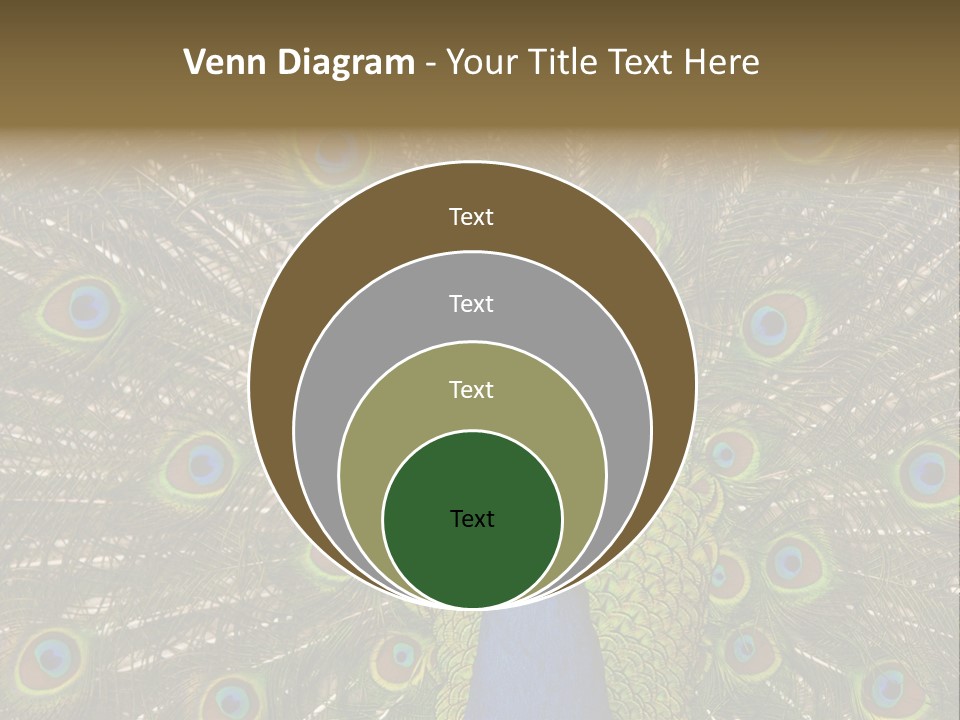 Indian Spotted Colourful PowerPoint Template