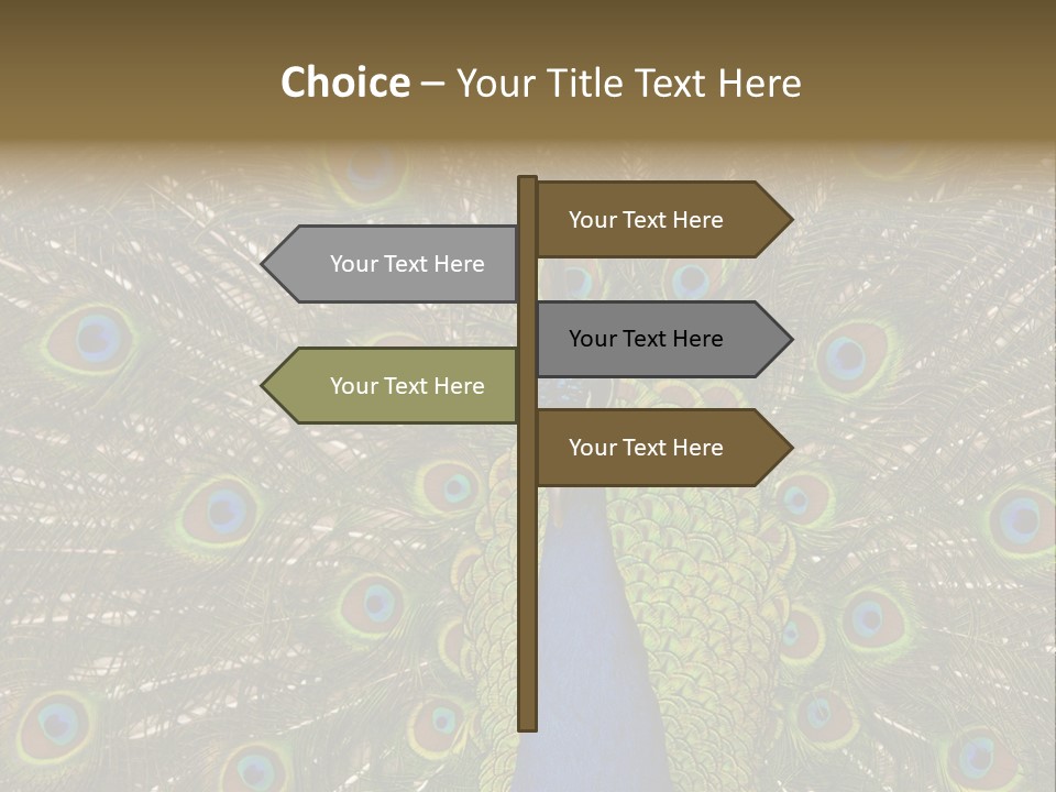 Indian Spotted Colourful PowerPoint Template