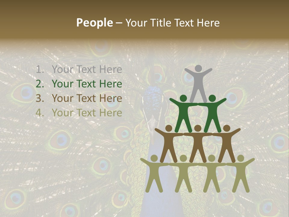 Indian Spotted Colourful PowerPoint Template