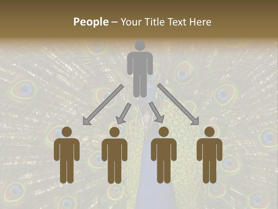 Indian Spotted Colourful PowerPoint Template