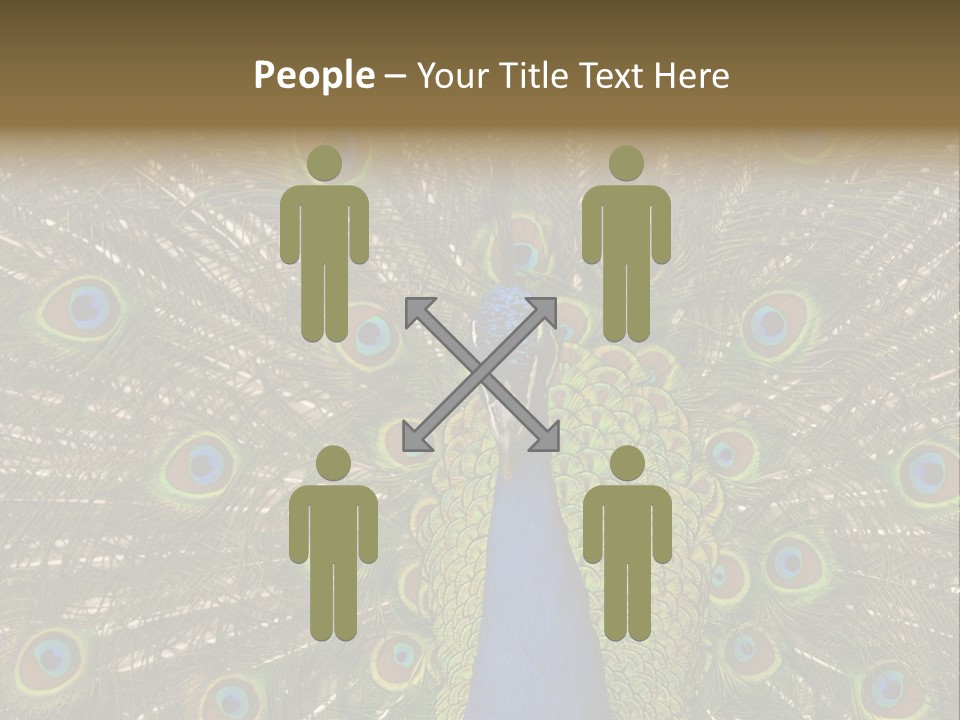 Indian Spotted Colourful PowerPoint Template