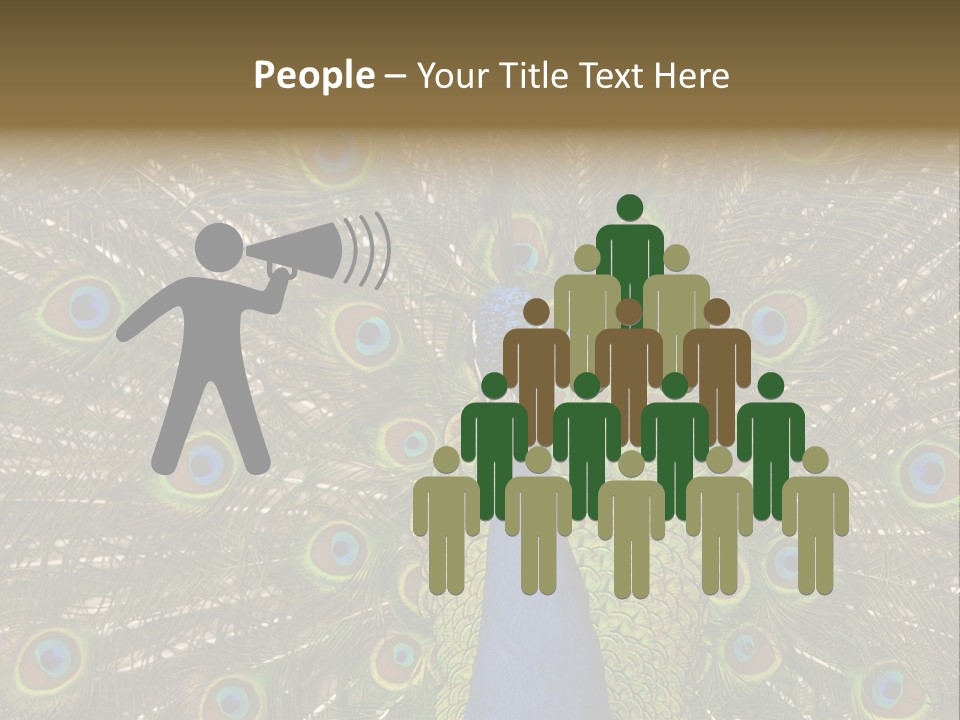 Indian Spotted Colourful PowerPoint Template