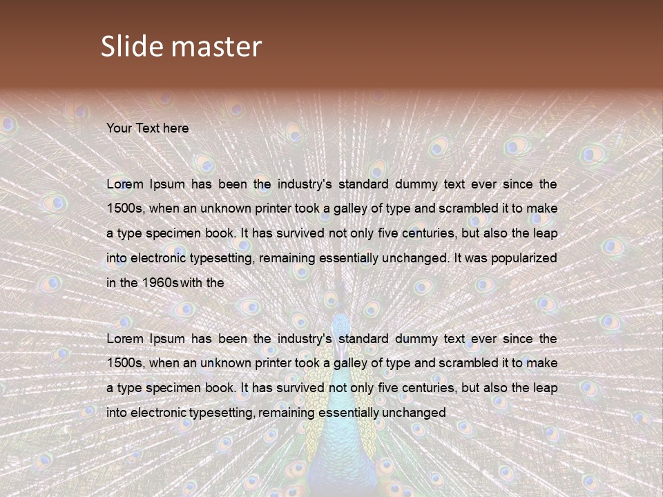 Beautiful Feather Bright PowerPoint Template