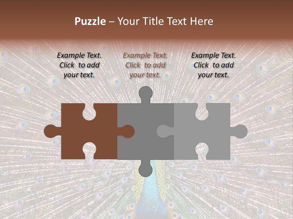 Beautiful Feather Bright PowerPoint Template