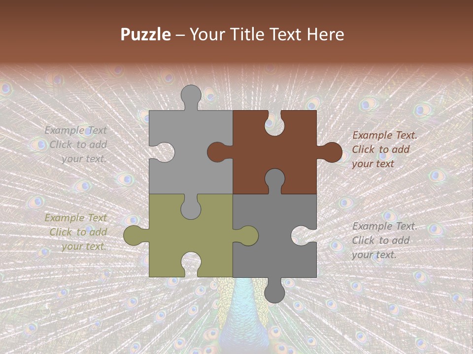 Beautiful Feather Bright PowerPoint Template