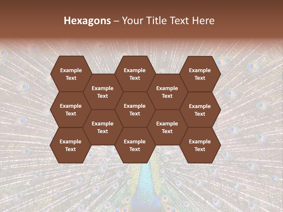 Beautiful Feather Bright PowerPoint Template