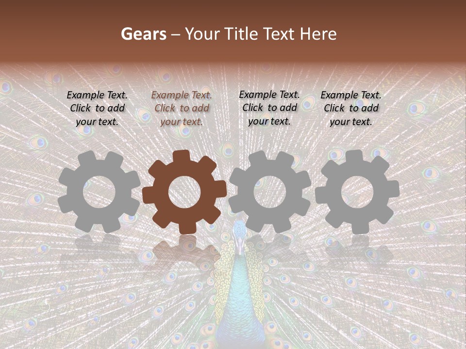 Beautiful Feather Bright PowerPoint Template