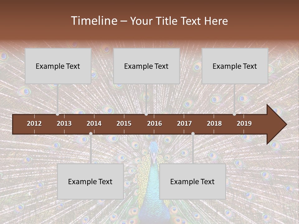 Beautiful Feather Bright PowerPoint Template
