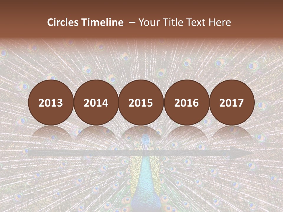 Beautiful Feather Bright PowerPoint Template