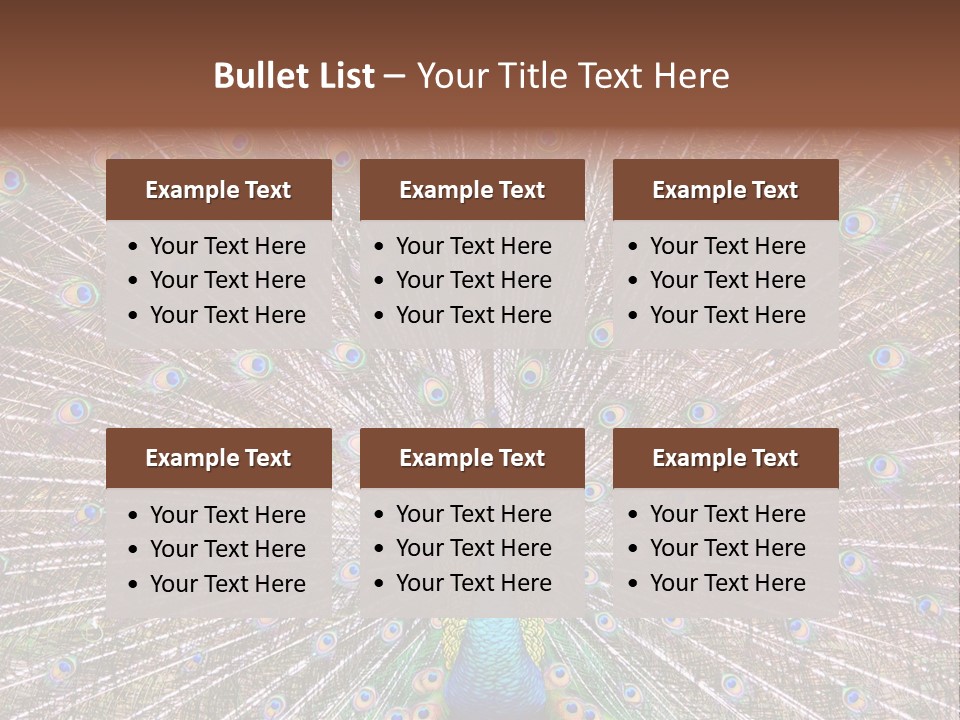 Beautiful Feather Bright PowerPoint Template