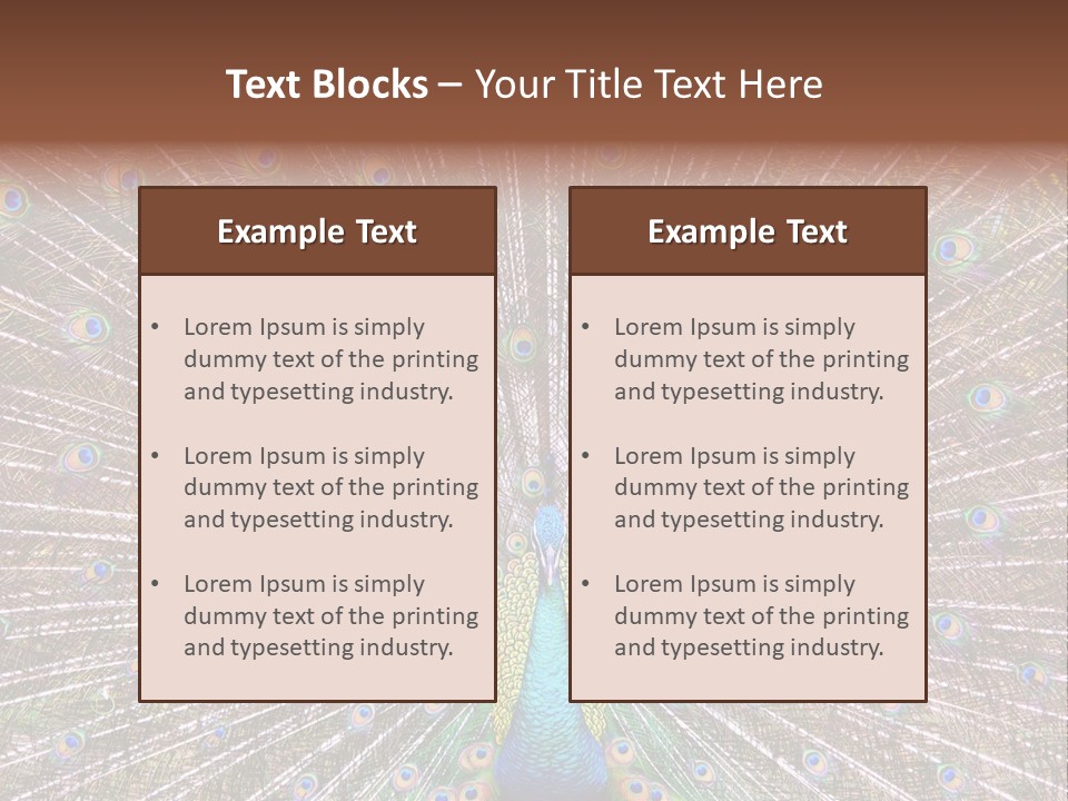 Beautiful Feather Bright PowerPoint Template