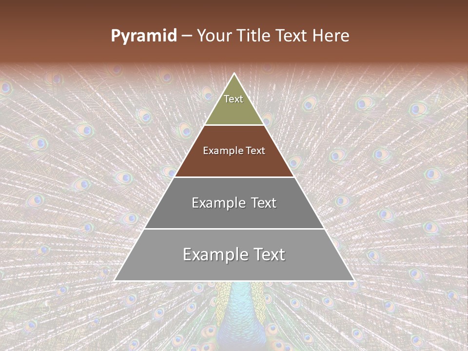 Beautiful Feather Bright PowerPoint Template