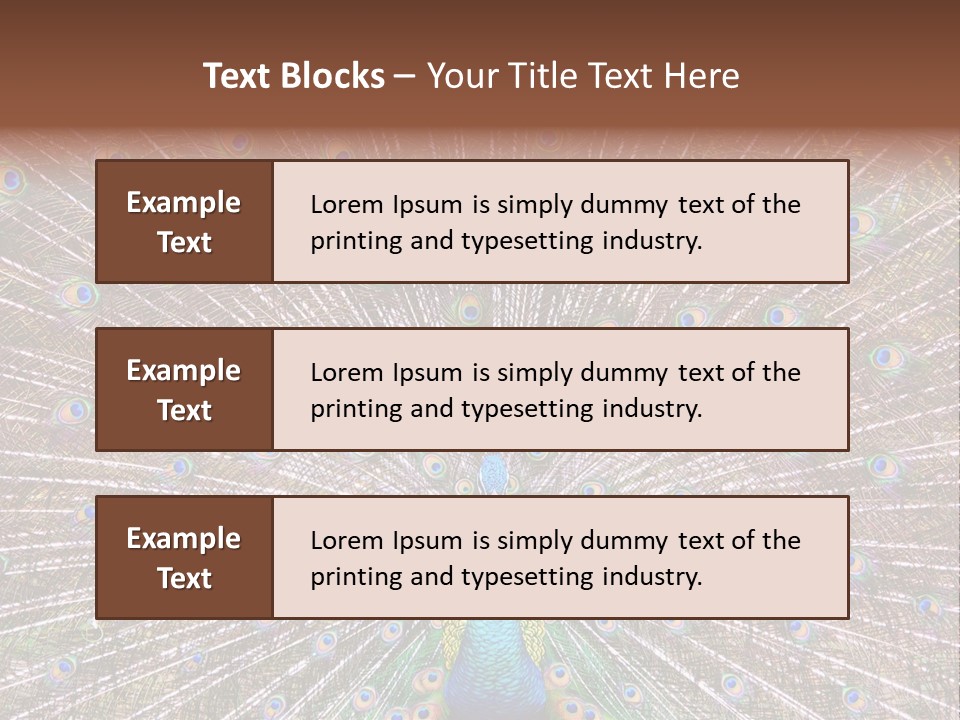 Beautiful Feather Bright PowerPoint Template