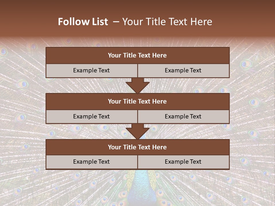 Beautiful Feather Bright PowerPoint Template