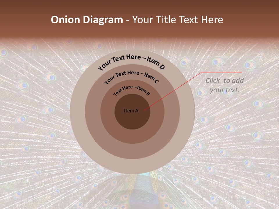 Beautiful Feather Bright PowerPoint Template