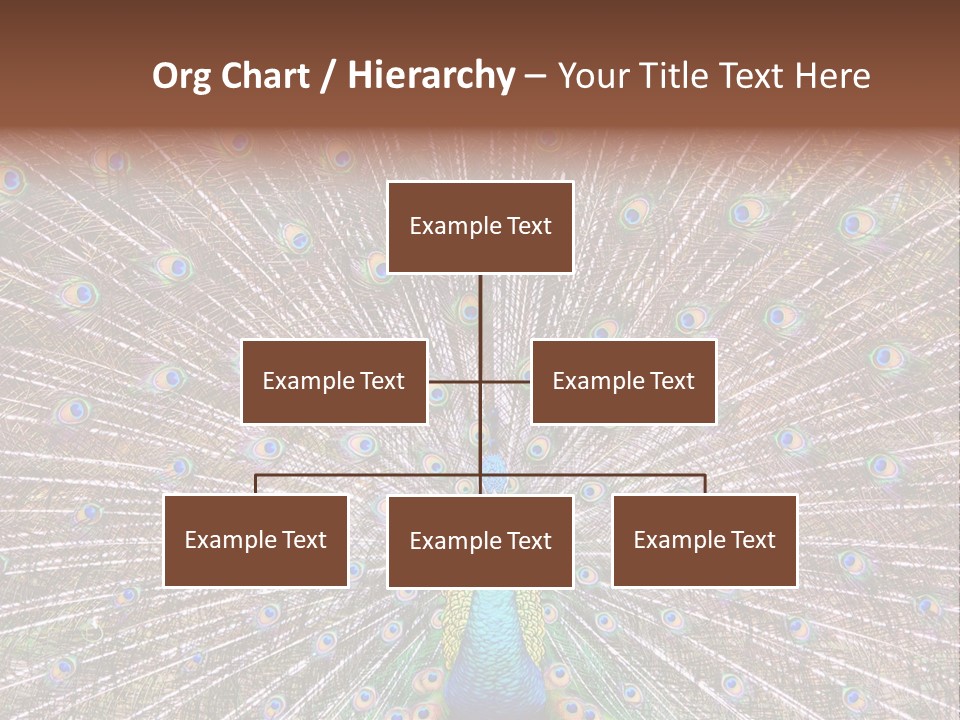 Beautiful Feather Bright PowerPoint Template