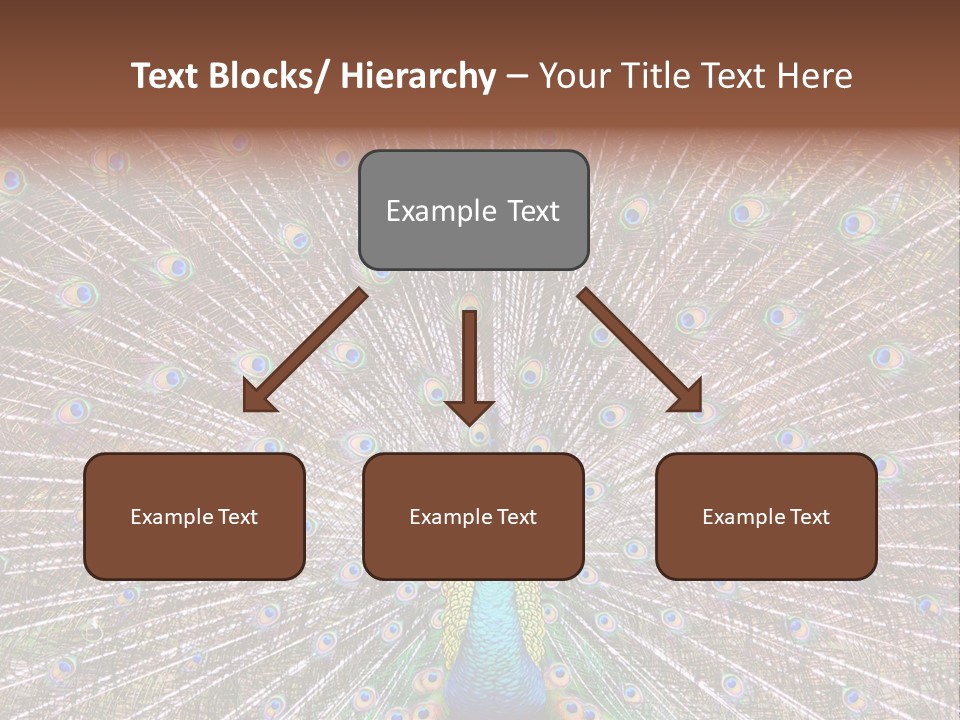 Beautiful Feather Bright PowerPoint Template