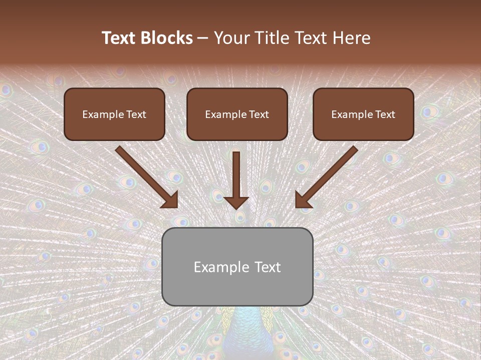 Beautiful Feather Bright PowerPoint Template