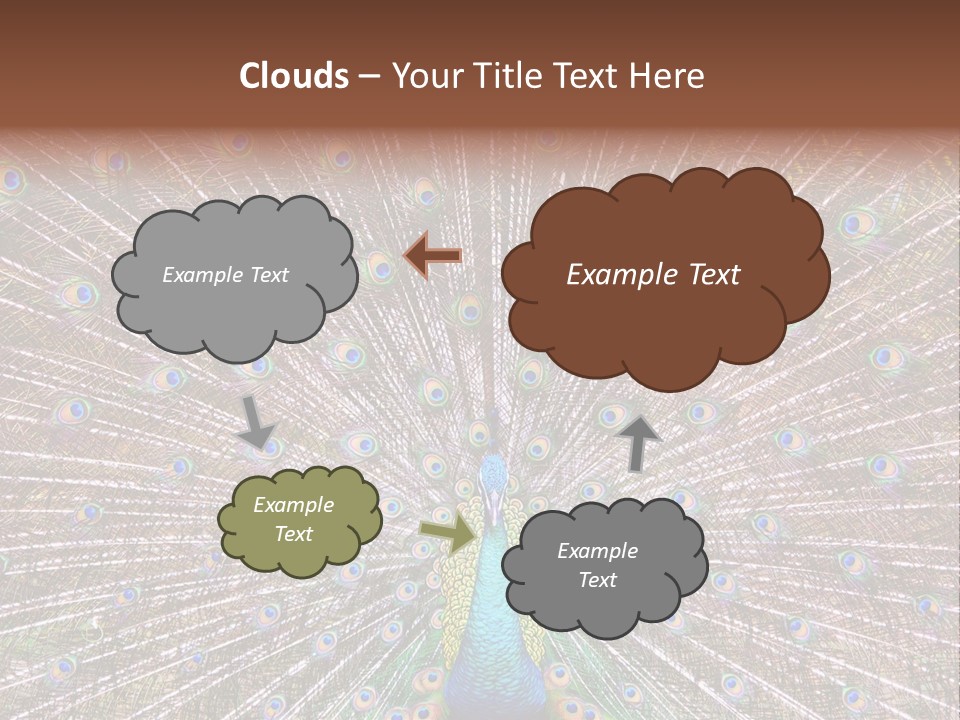 Beautiful Feather Bright PowerPoint Template