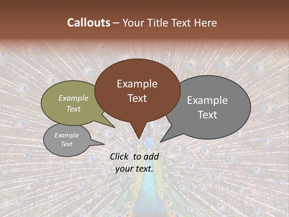 Beautiful Feather Bright PowerPoint Template