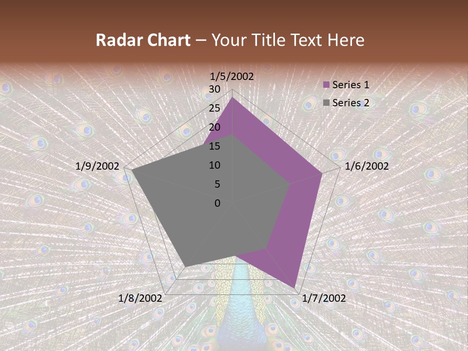 Beautiful Feather Bright PowerPoint Template