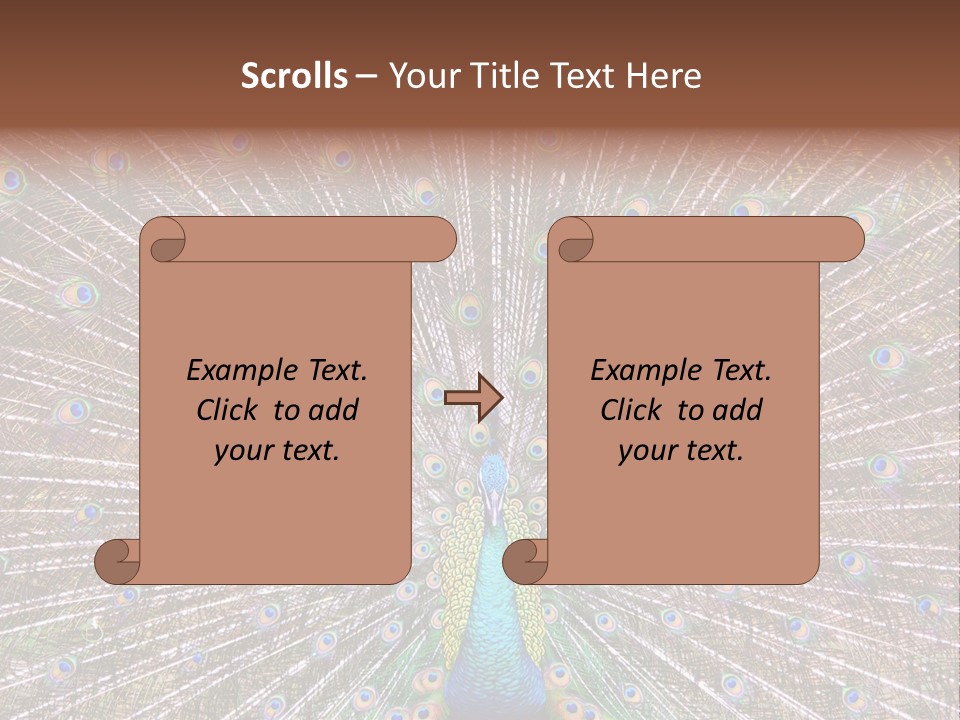 Beautiful Feather Bright PowerPoint Template