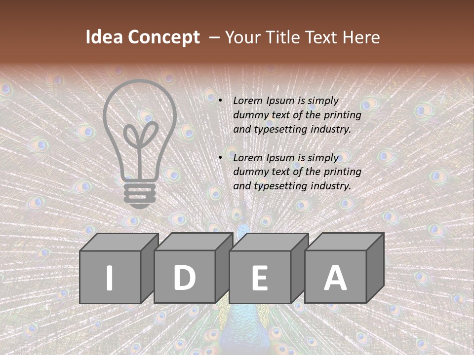 Beautiful Feather Bright PowerPoint Template