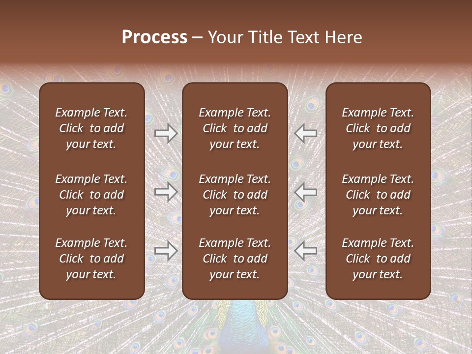 Beautiful Feather Bright PowerPoint Template