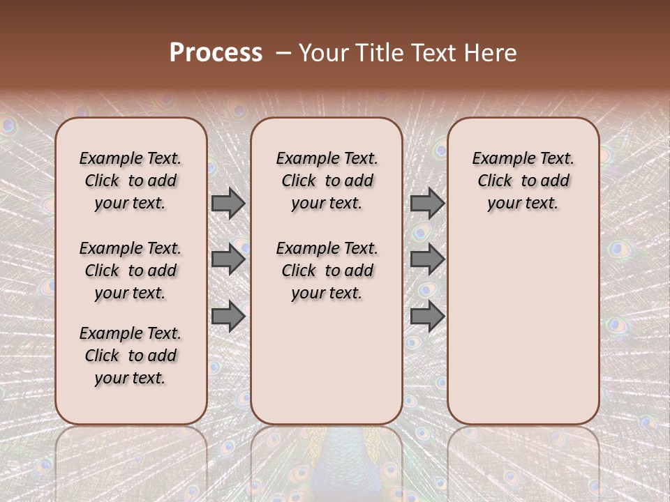 Beautiful Feather Bright PowerPoint Template