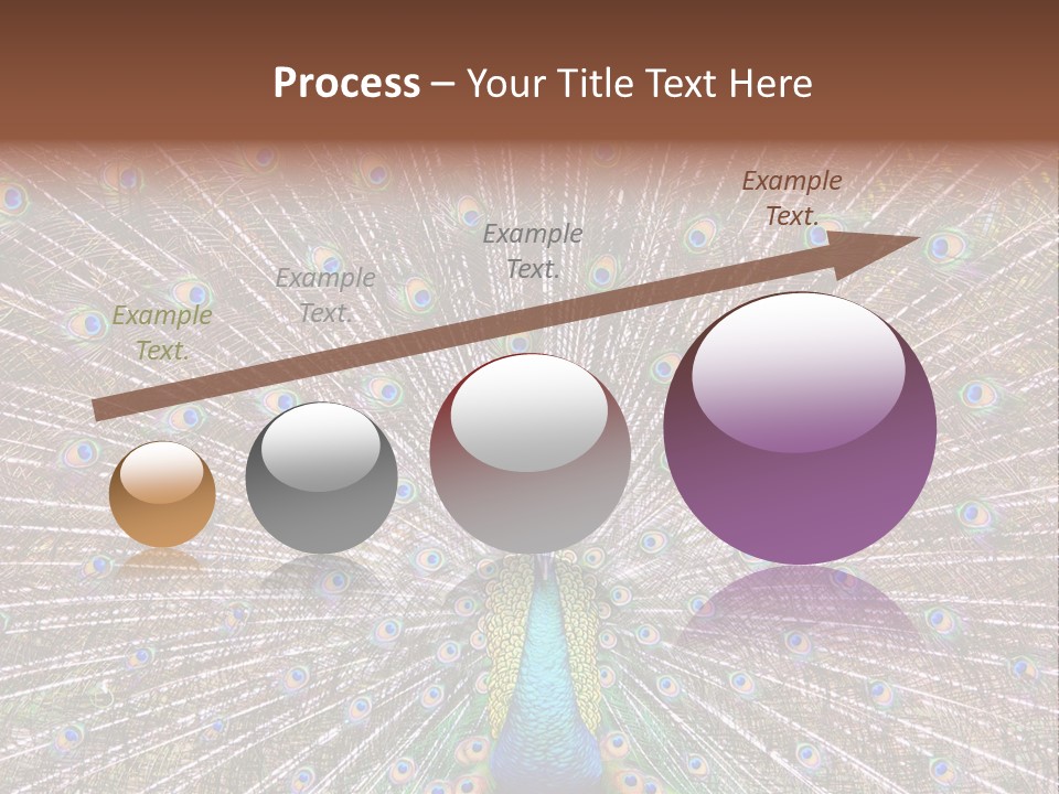 Beautiful Feather Bright PowerPoint Template