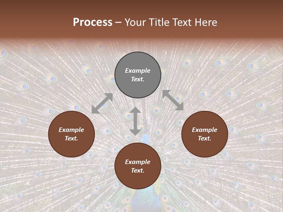 Beautiful Feather Bright PowerPoint Template