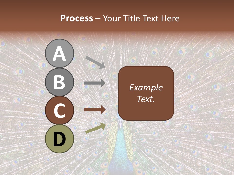 Beautiful Feather Bright PowerPoint Template