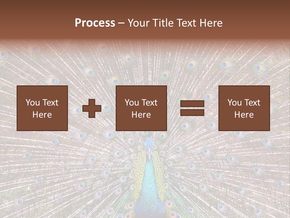 Beautiful Feather Bright PowerPoint Template