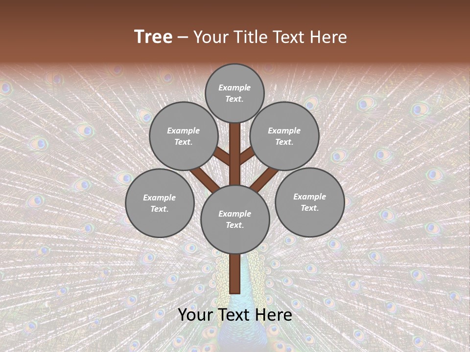 Beautiful Feather Bright PowerPoint Template