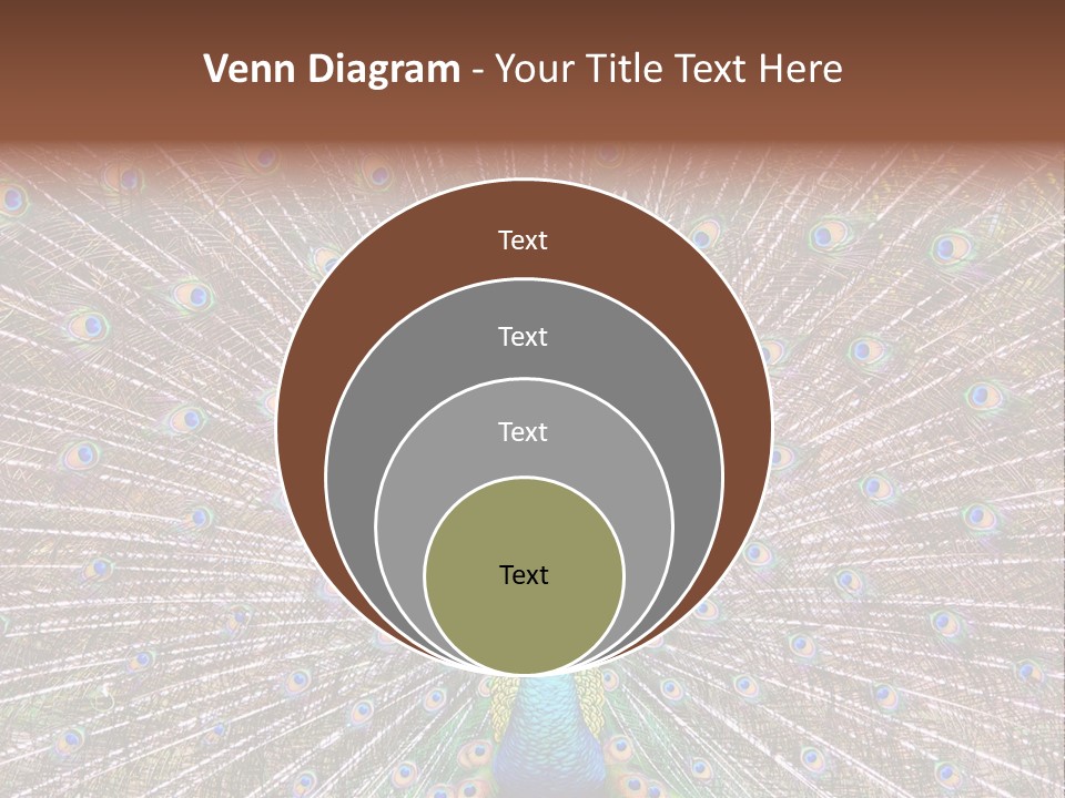 Beautiful Feather Bright PowerPoint Template