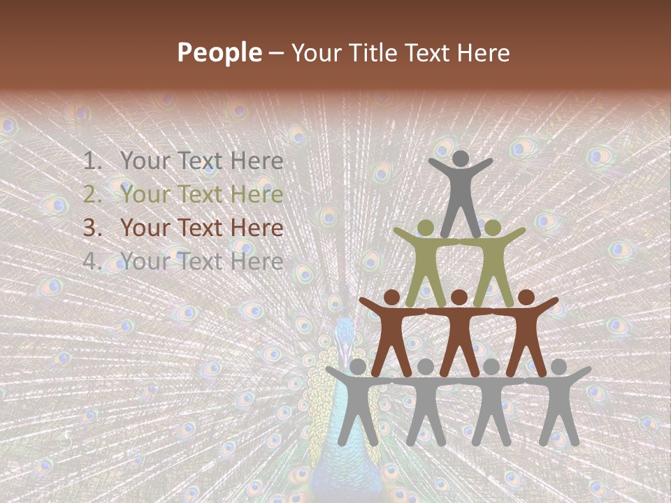 Beautiful Feather Bright PowerPoint Template